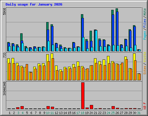 Daily usage for January 2026