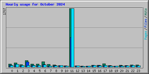Hourly usage for October 2024