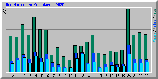 Hourly usage for March 2025