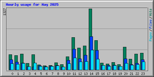 Hourly usage for May 2025