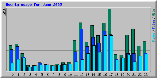 Hourly usage for June 2025