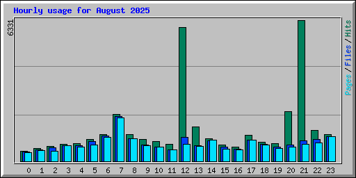 Hourly usage for August 2025