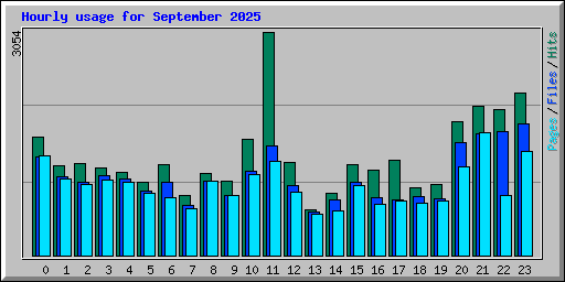 Hourly usage for September 2025
