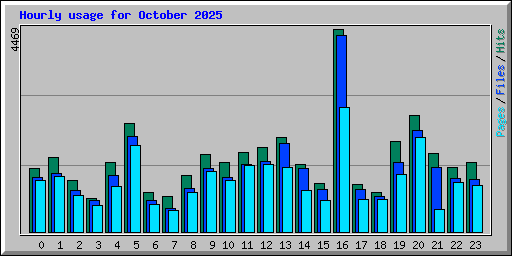 Hourly usage for October 2025