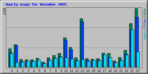 Hourly usage for December 2025