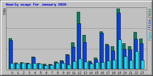 Hourly usage for January 2026